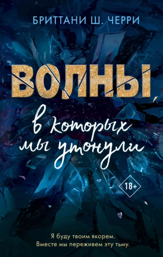 Постер книги Волны, в которых мы утонули