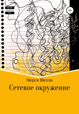 Постер книги Сетевое окружение