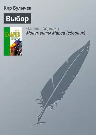 Постер книги Выбор