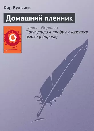 Постер книги Домашний пленник