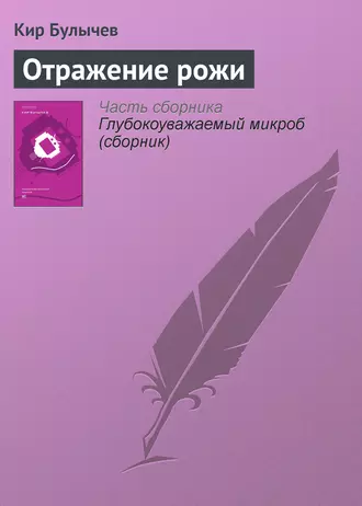 Постер книги Отражение рожи