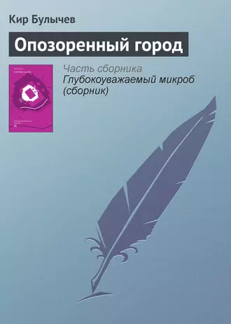 Постер книги Опозоренный город