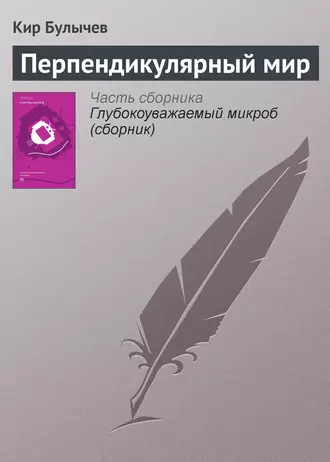 Постер книги Перпендикулярный мир