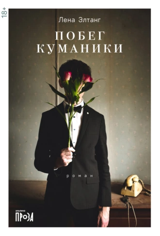 Постер книги Побег куманики