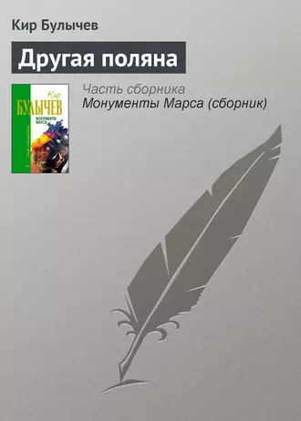 Постер книги Другая поляна