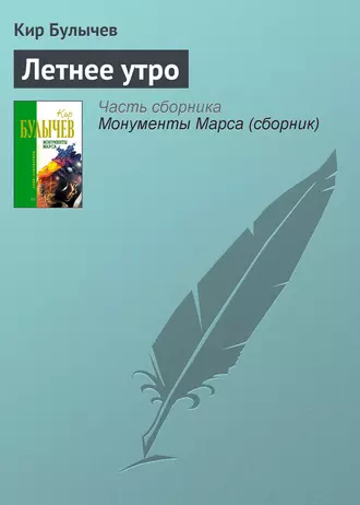 Постер книги Летнее утро