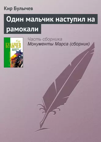 Постер книги Один мальчик наступил на рамокали