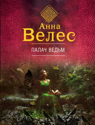 Постер книги Палач ведьм