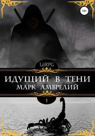 Постер книги Идущий в тени