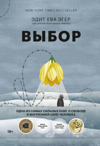 Постер книги Выбор. О свободе и внутренней силе человека