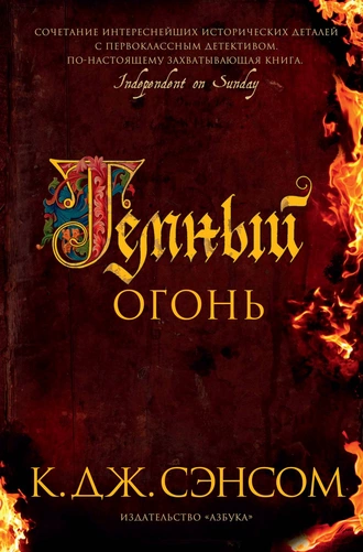 Постер книги Темный огонь