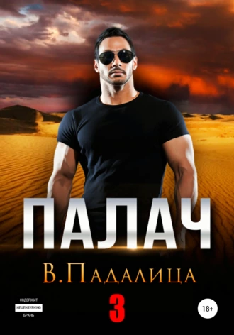 Постер книги Палач 3