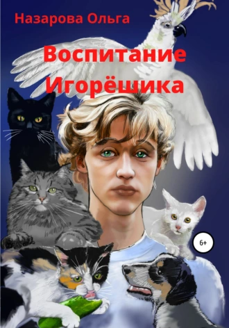 Постер книги Воспитание Игорёшика