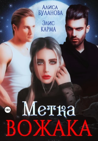 Постер книги Метка вожака