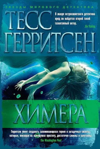 Постер книги Химера