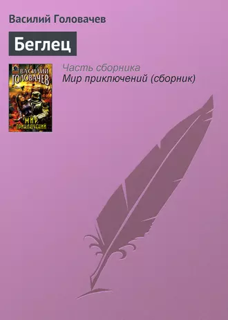 Постер книги Беглец