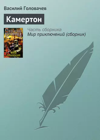 Постер книги Камертон