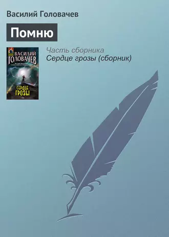 Постер книги Помню