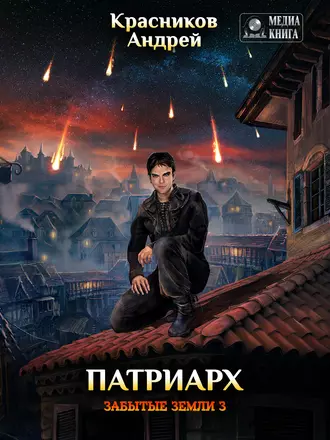 Постер книги Патриарх