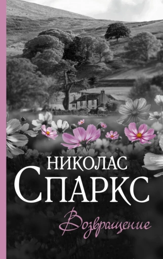 Постер книги Возвращение