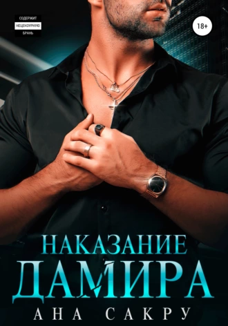 Постер книги Наказание Дамира