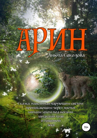 Постер книги Арин