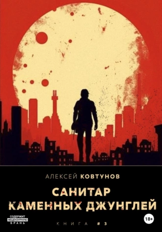 Постер книги Санитар каменных джунглей 3