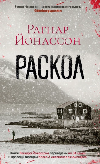 Постер книги Раскол