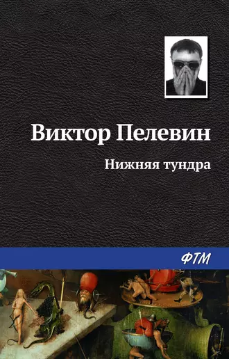 Постер книги Нижняя тундра