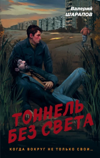 Постер книги Тоннель без света