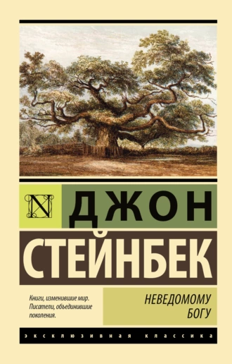 Постер книги Неведомому Богу