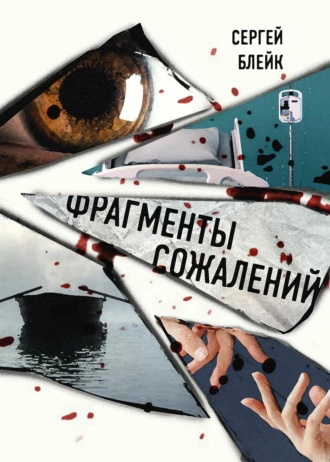 Постер книги Фрагменты сожалений