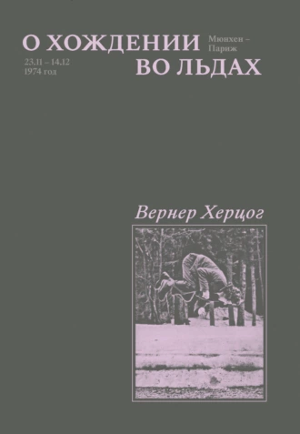 Постер книги О хождении во льдах