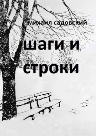 Постер книги Шаги и строки. Книга стихов