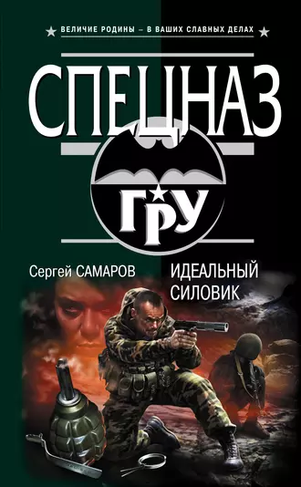 Постер книги Идеальный силовик