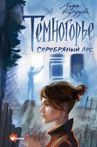 Постер книги Темногорье. Серебряный лес