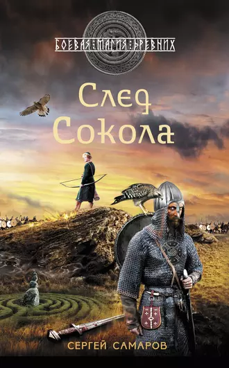 Постер книги След Сокола