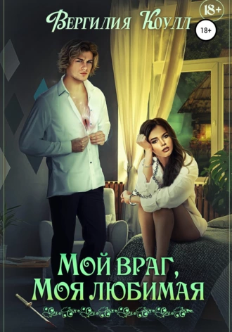 Постер книги Мой враг, моя любимая