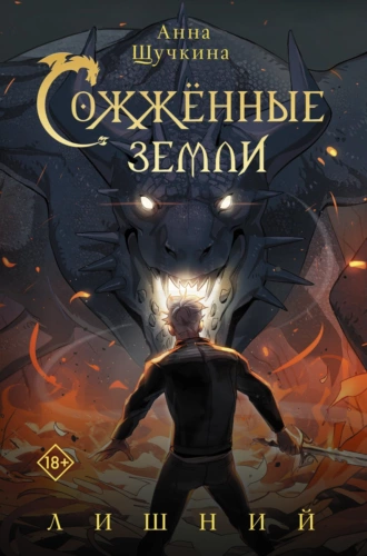 Постер книги Сожженные земли. Лишний