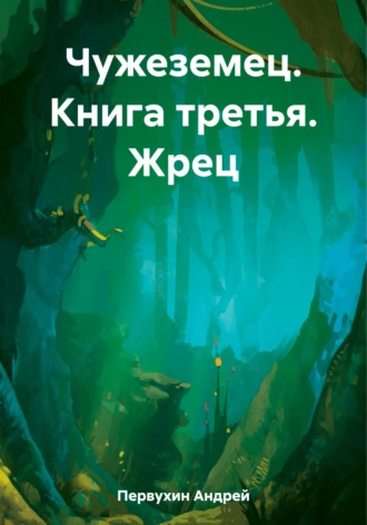 Постер книги Чужеземец. Книга третья. Жрец