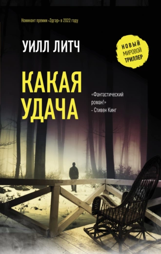 Постер книги Какая удача