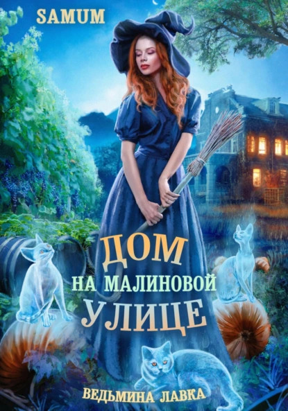 Постер книги Ведьмина лавка. Дом на Малиновой улице