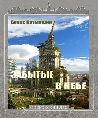 Постер книги Забытые в небе