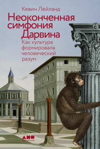 Постер книги Неоконченная симфония Дарвина: Как культура формировала человеческий разум