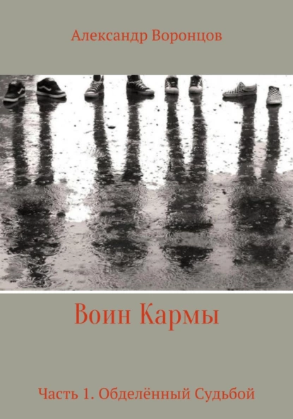 Постер книги Воин Кармы. Часть 1. Обделённый Судьбой