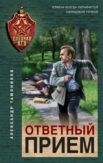 Постер книги Ответный прием