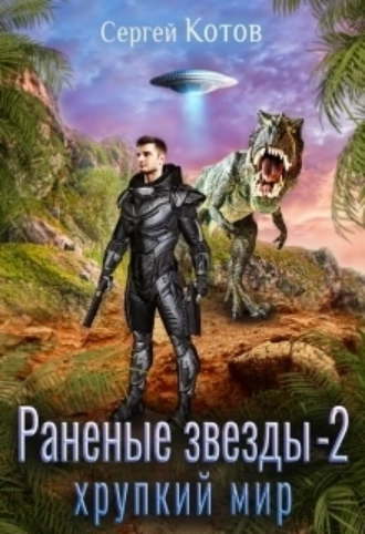 Постер книги Раненые звёзды – 2: Хрупкий мир