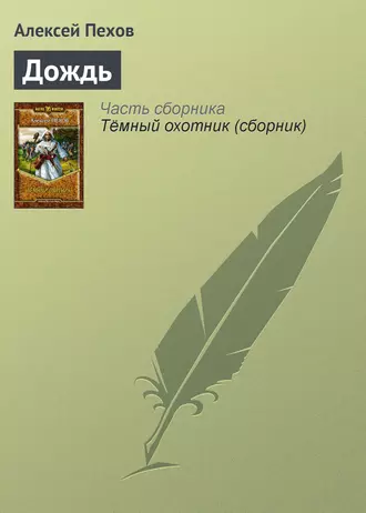 Постер книги Дождь