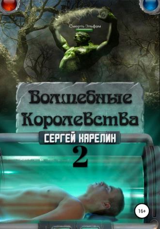 Постер книги Волшебные Королевства 2