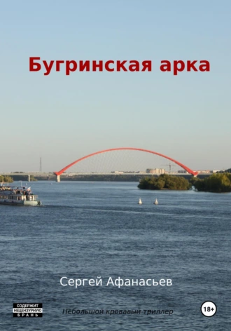 Постер книги Бугринская арка